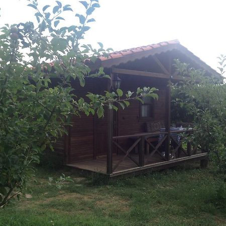 Salkim Konak Ve Agac Evler Pensionat Selçuk Rum bild