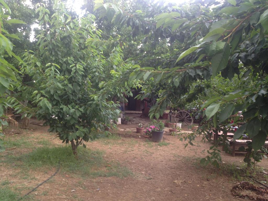 Salkim Konak Ve Agac Evler Pensionat Selçuk Rum bild