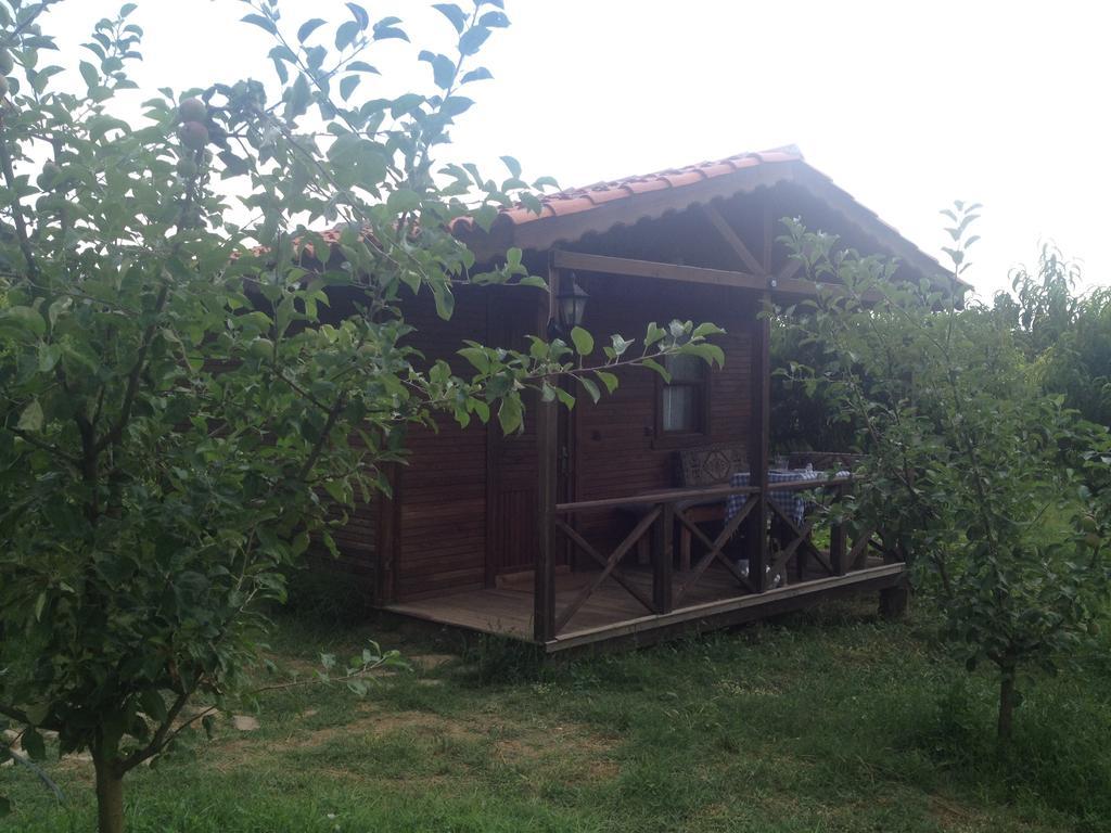 Salkim Konak Ve Agac Evler Pensionat Selçuk Rum bild