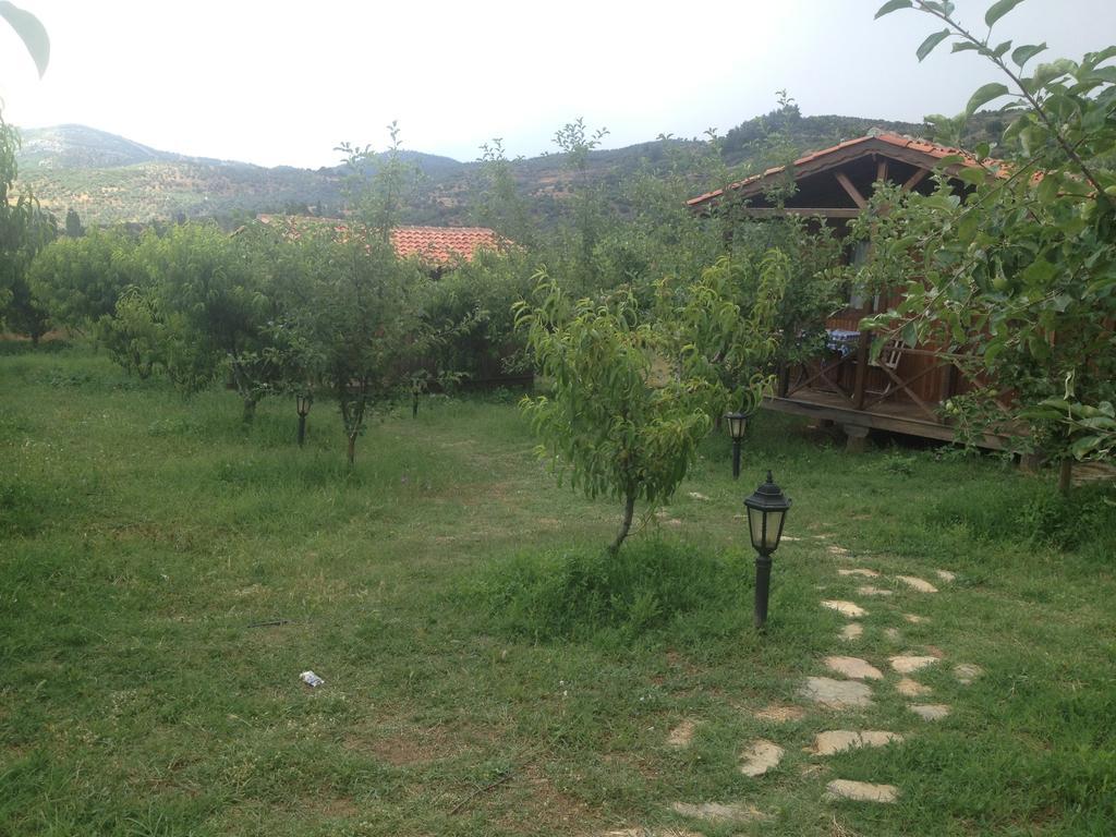 Salkim Konak Ve Agac Evler Pensionat Selçuk Rum bild