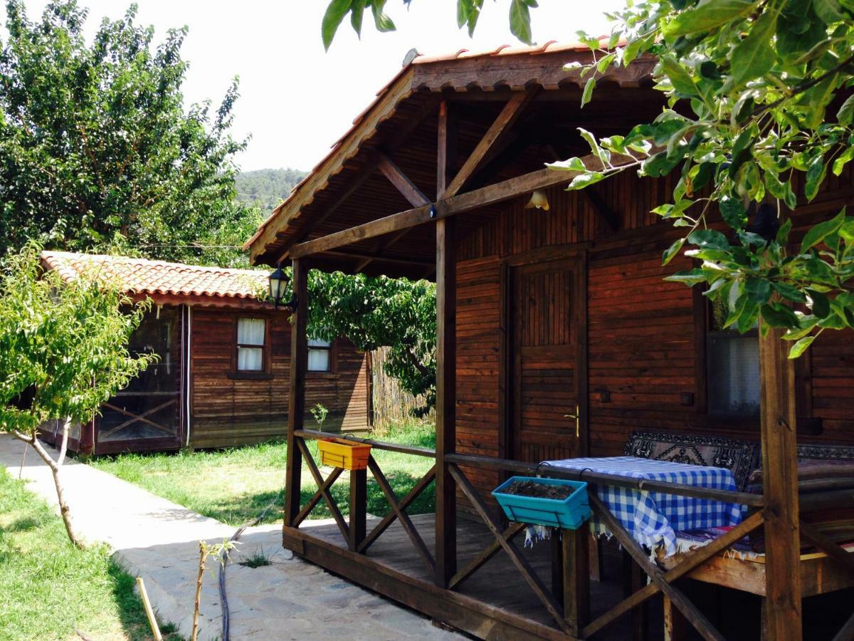 Salkim Konak Ve Agac Evler Pensionat Selçuk Exteriör bild